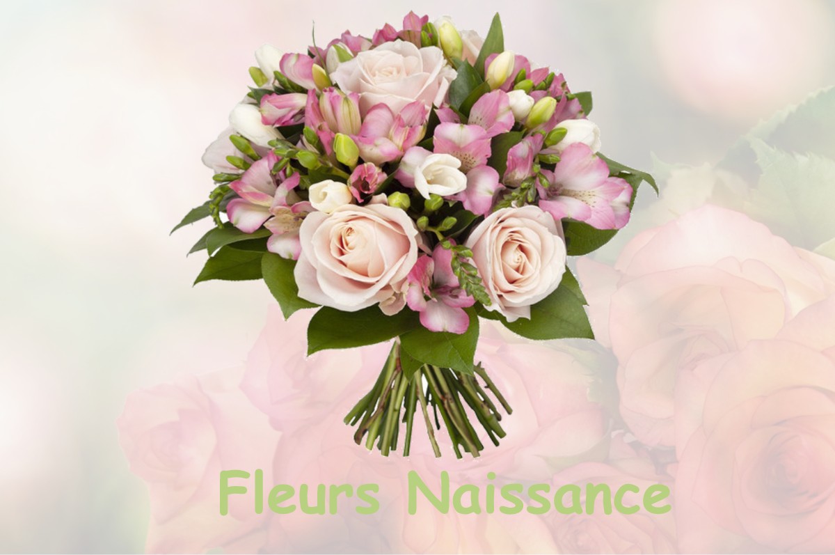 fleurs naissance MAILLERES