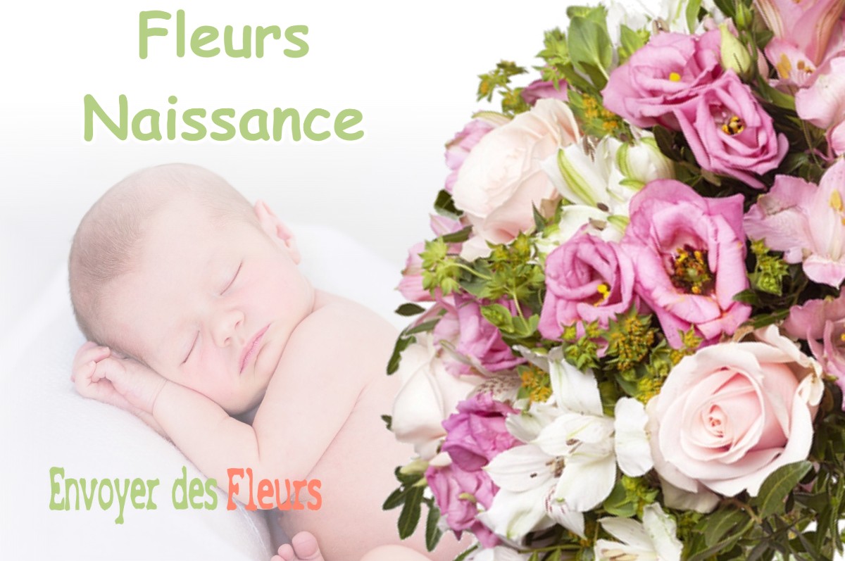 lIVRAISON FLEURS NAISSANCE à MAILLERES